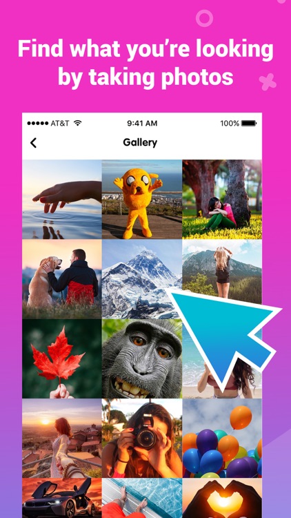 Image Recognition and Searcher