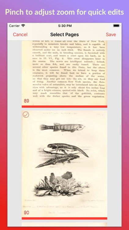 PDF Page Clipper screenshot-3