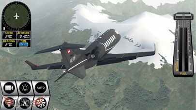 Flight Simulator 2016 FlyWings Free Screenshot 6