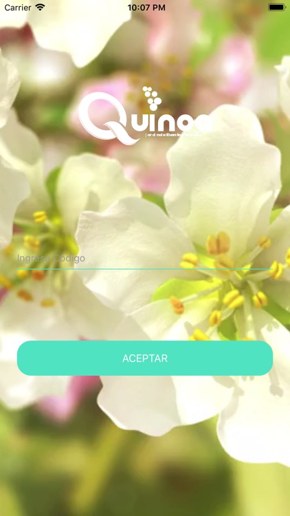 Quinoa