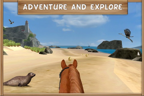 Pony Trails - náhled