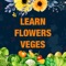 Learn Flowers Vegetables For Kids Learning