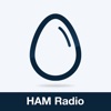 HAM Radio Practice Test Prep