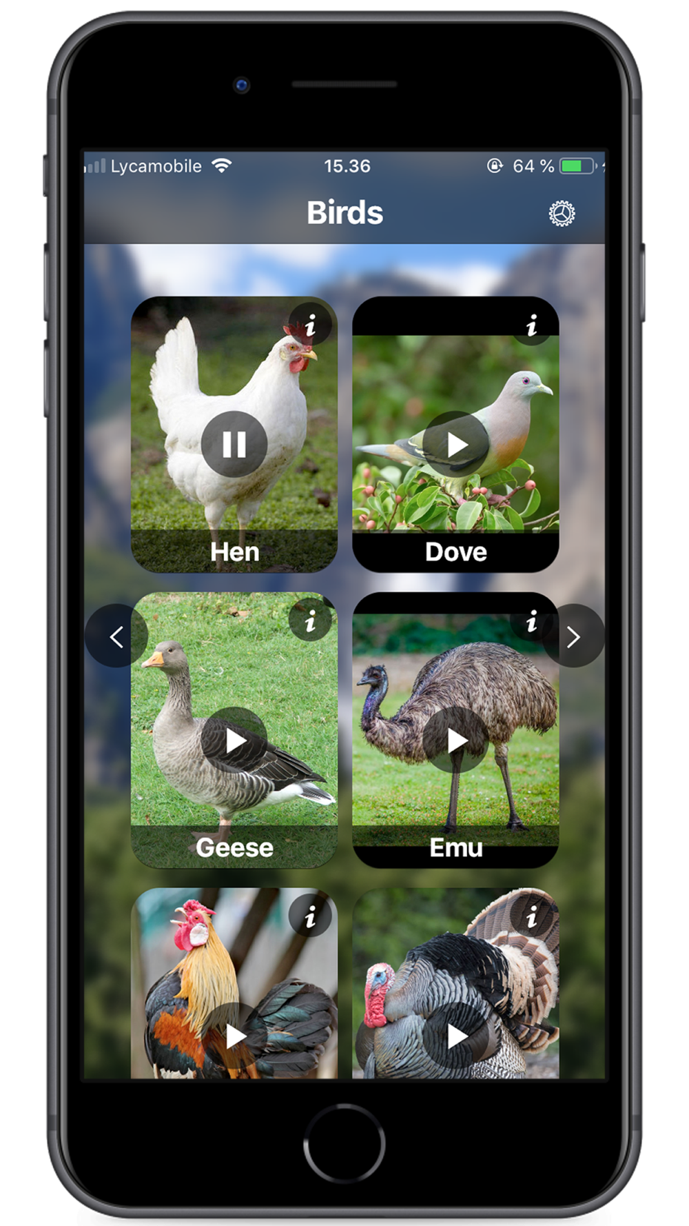 Animal sounds 100 Free Download App for iPhone 