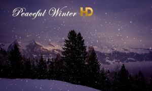 Peaceful Winter HD