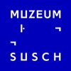 Muzeum Susch App