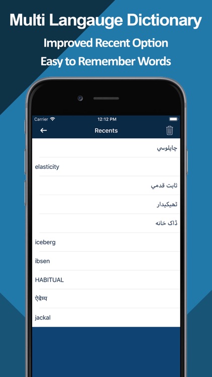 Multilingual Dictionary Pro screenshot-9