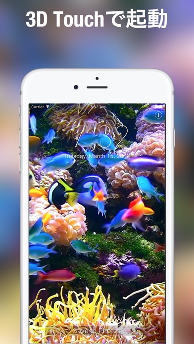 ロック画面用の水族館ライブ壁紙 By Voros Innovation Ios 日本 Searchman アプリマーケットデータ