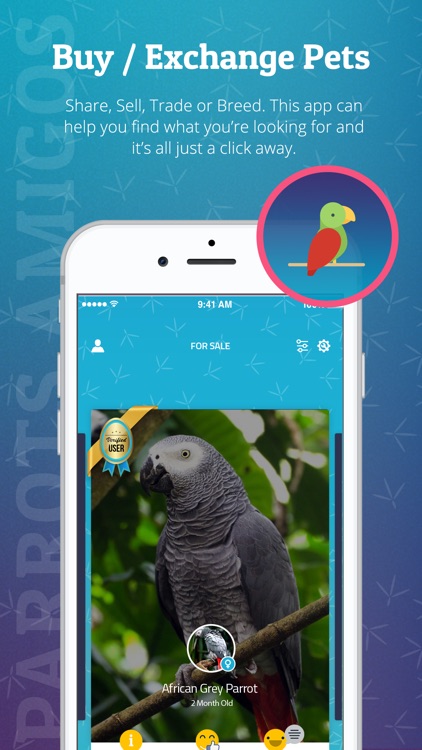 Parrots Amigos screenshot-5