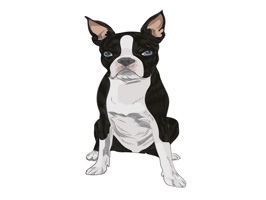 The DogBreedsTL is a small sticker, which are show the 30 Dog Breeds sticker in cartoon