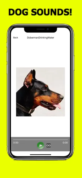 Game screenshot Doberman Sounds & Dog Sounds! hack