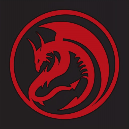 DRAGONFIRE.IO