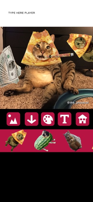 PIZZACATAPP(圖3)-速報App