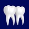 ‘Teeth’ app brings to you a comprehensive learning tool that takes you on a visual tour to explore the pearly whites of your mouth