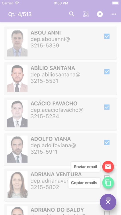 Deputado Federal screenshot-5