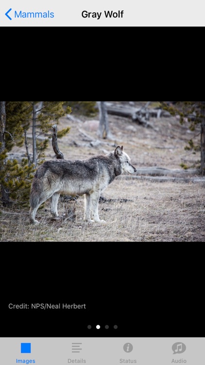 Yellowstone NP Field Guide screenshot-5
