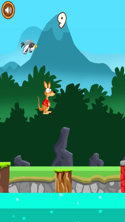 Jumpy Kangaroo