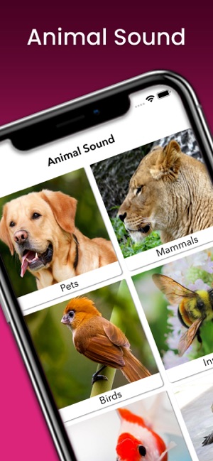 Animal Sound Learner(圖1)-速報App