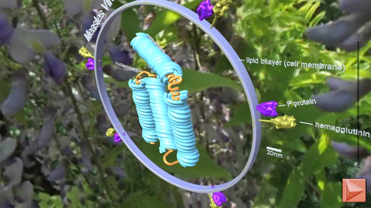 Bioanim Complete screenshot-8