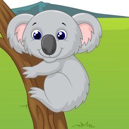 KOALA TURNY