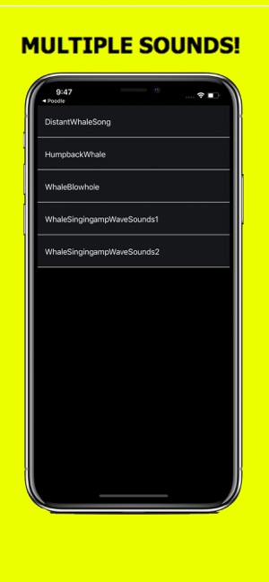 Whale Sounds!(圖2)-速報App