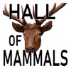 Hall of Mammals