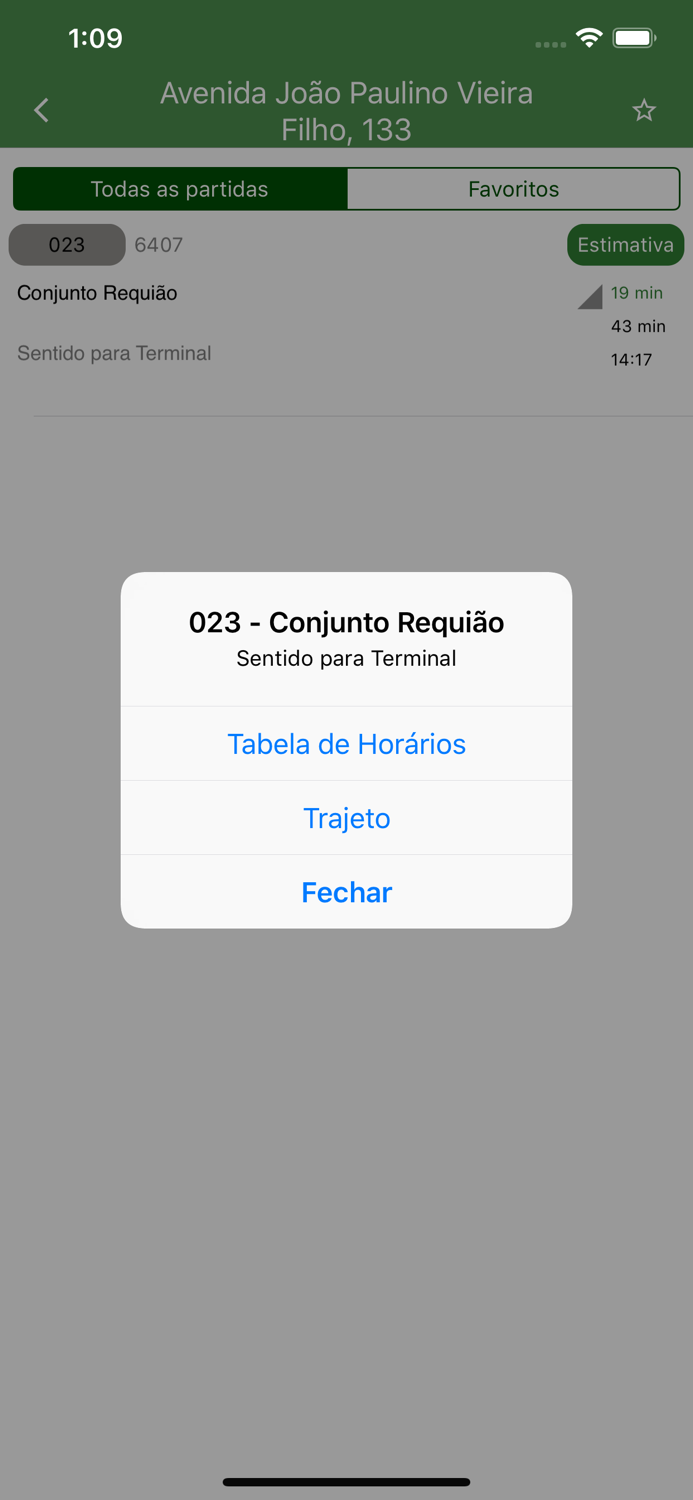 Vou de Ônibus - TCCC