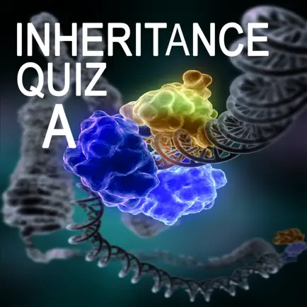 Genetics Inheritance Quiz A Читы