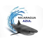 Nicaragua Azul