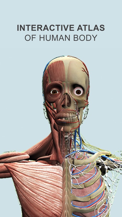 Explain 3D: Human body screenshot-0