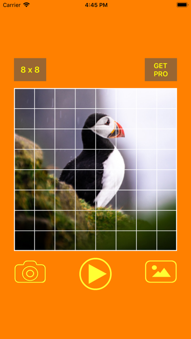 Photo Pixel Puzzle screenshot 4