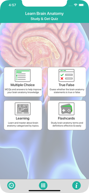 learning-the-brain-anatomy