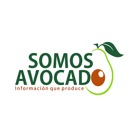 Somos Avocado