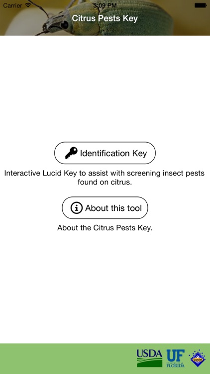 Citrus Pests Key