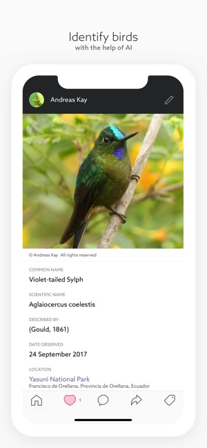 Birds by Fieldguide(圖2)-速報App