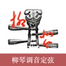 Get LiuQin Tuner-Tuner for LiuQin for iOS, iPhone, iPad Aso Report