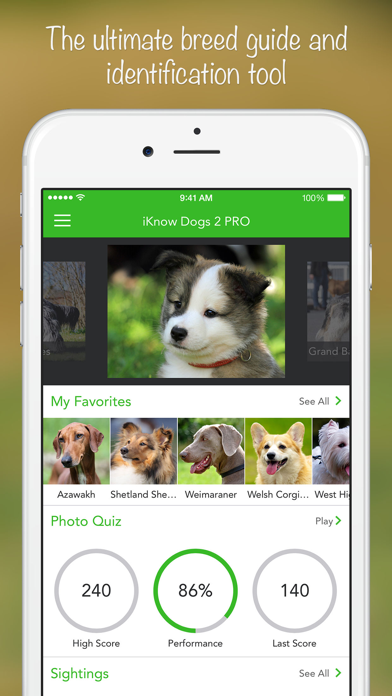 How to cancel & delete iKnow Dogs 2 LITE from iphone & ipad 1