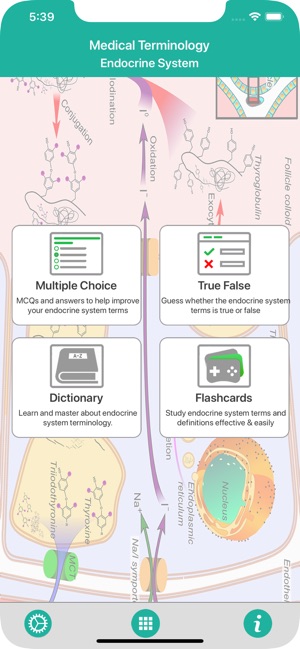 Endocrine System Medical Terms