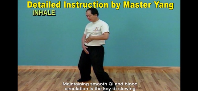 Qigong Massage: Partner(圖4)-速報App