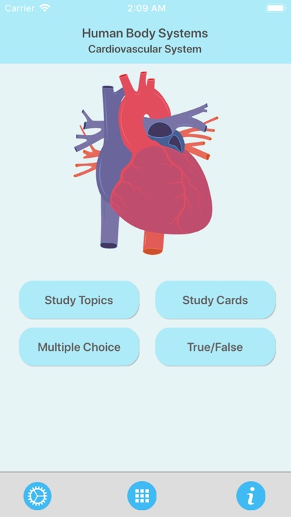 Learn Cardiovascular System