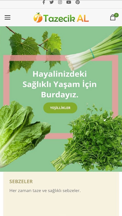 Tazecik Al 2