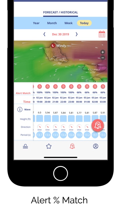 SURFER Forecast screenshot-3