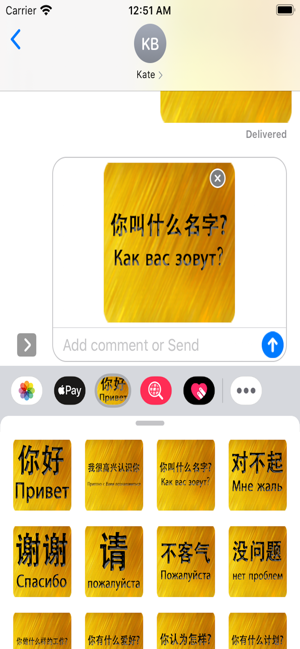 Chinese Russian Sticker(圖5)-速報App