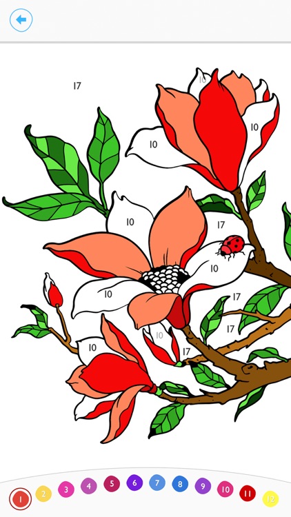 Paint by Number: Coloring Game