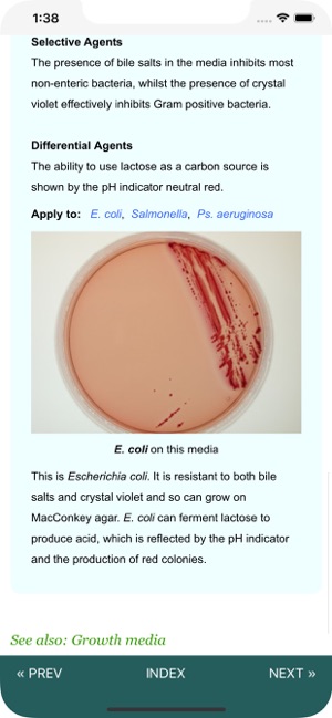 Microbiology Lab Techniques(圖4)-速報App