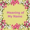 Meaning of My Name