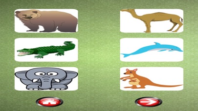 How to cancel & delete Sound Flash Cards of Animals from iphone & ipad 3
