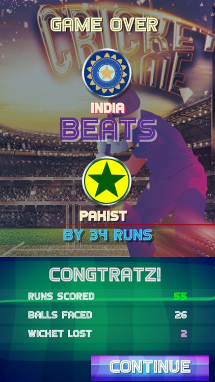 Fun Cricket 2019 screenshot-6