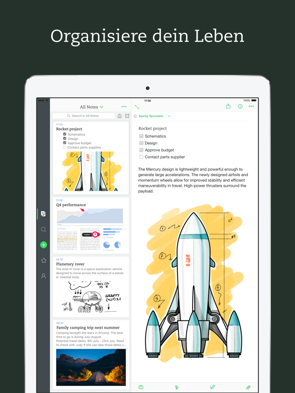 iPad Screenshot 1