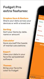 fudget pro: budget planner problems & solutions and troubleshooting guide - 3